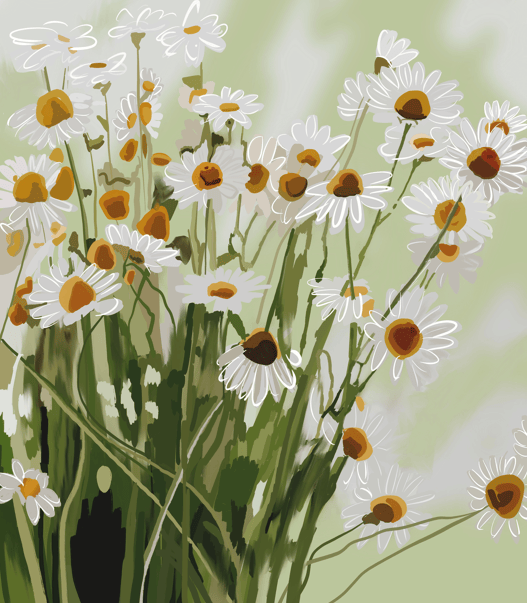 Bailey Made Art Co Sweet Daisies Art Print Art
