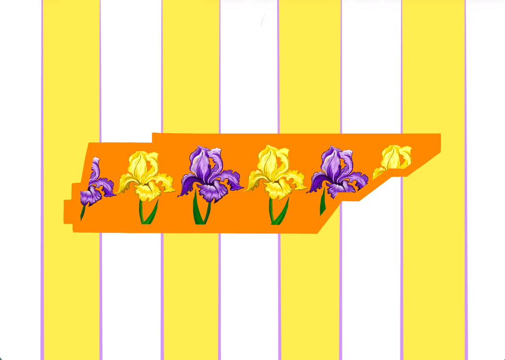 Bailey Made Art Co Tennessee State Flower Art Print Art