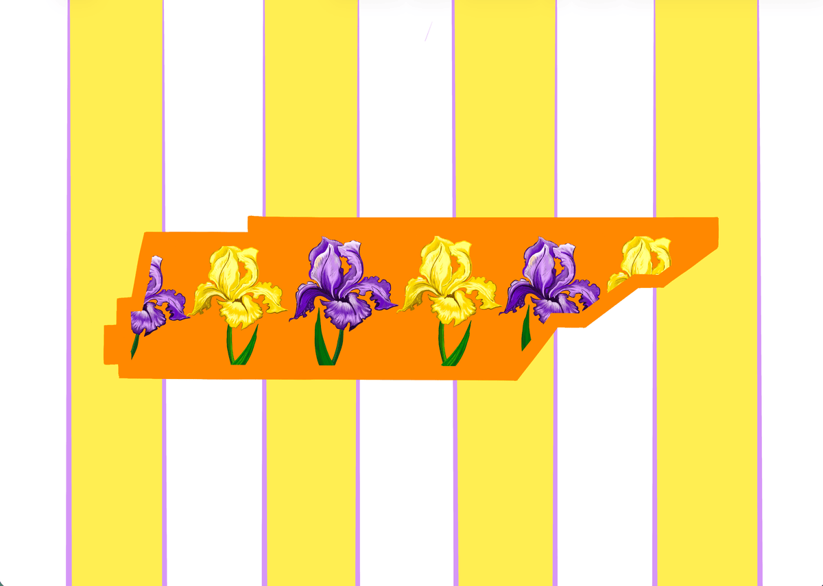 Bailey Made Art Co Tennessee State Flower Art Print Art