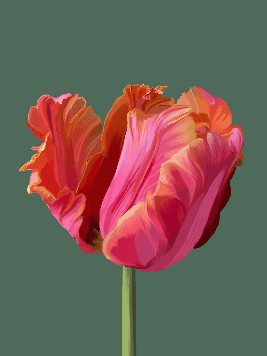 Bailey Made Art Co Tulip Art Print Art