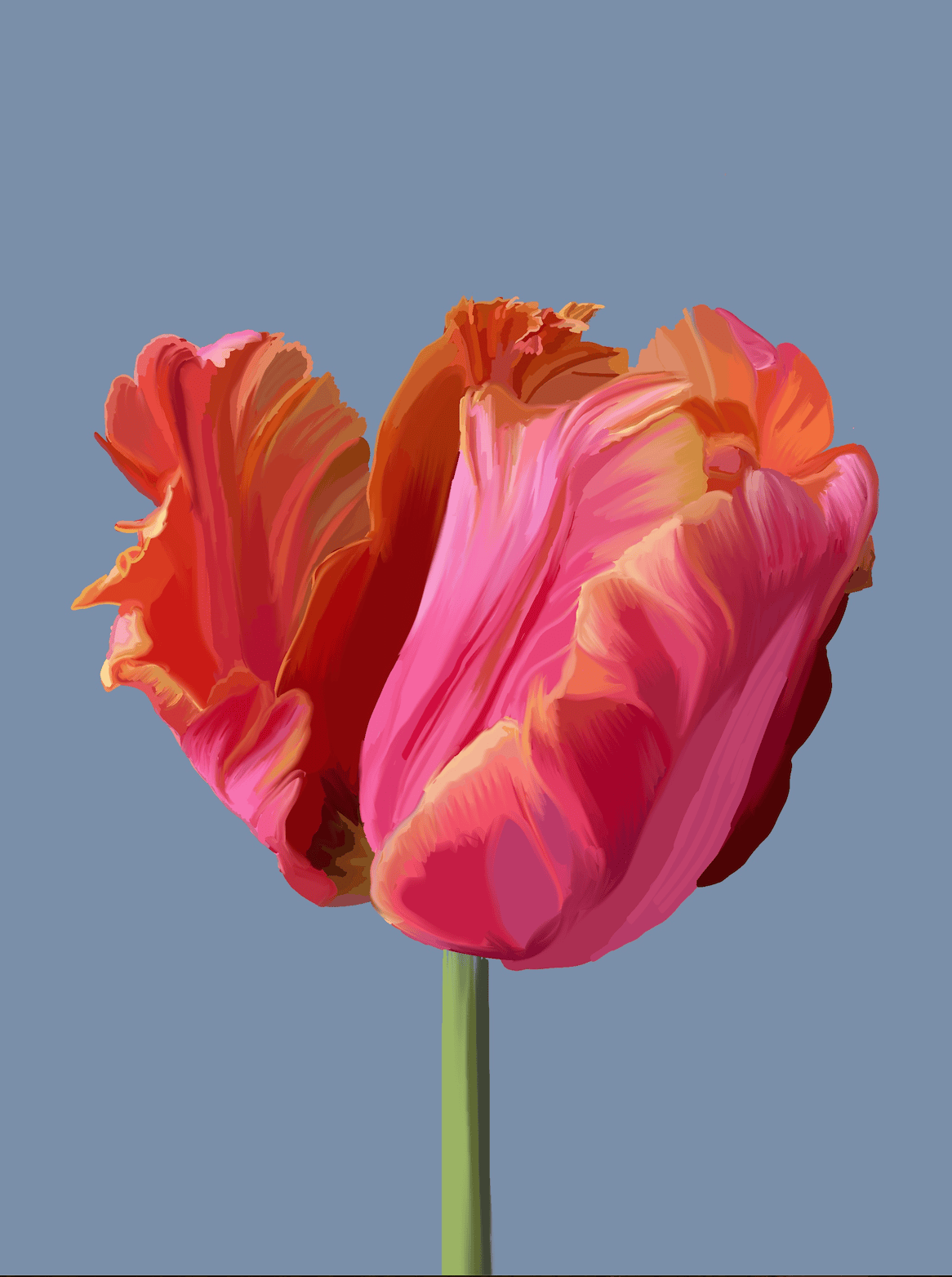 Bailey Made Art Co Tulip Art Print Art
