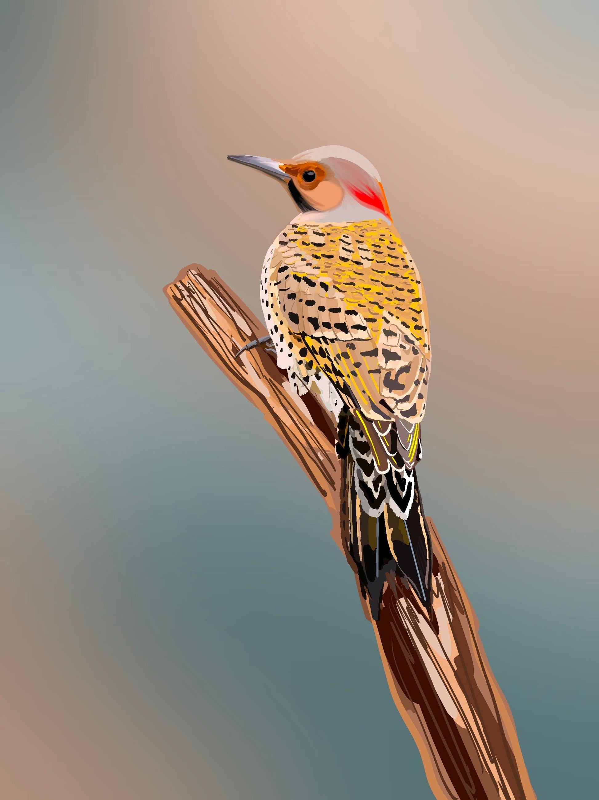 Bailey Made Art Co Yellow Hammer Bird- Alabama Art Print Art
