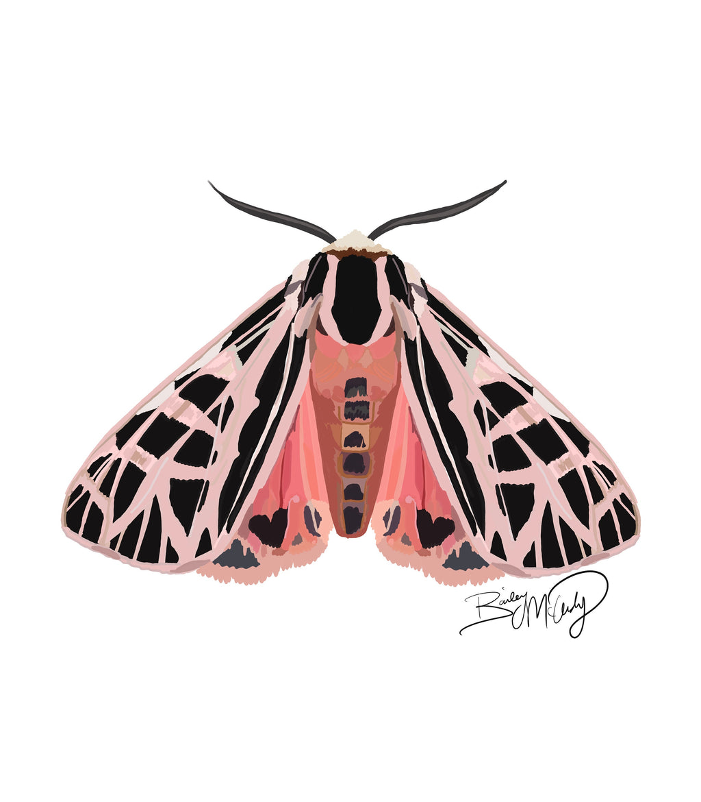 Miss Peach Parka Moth Art Print