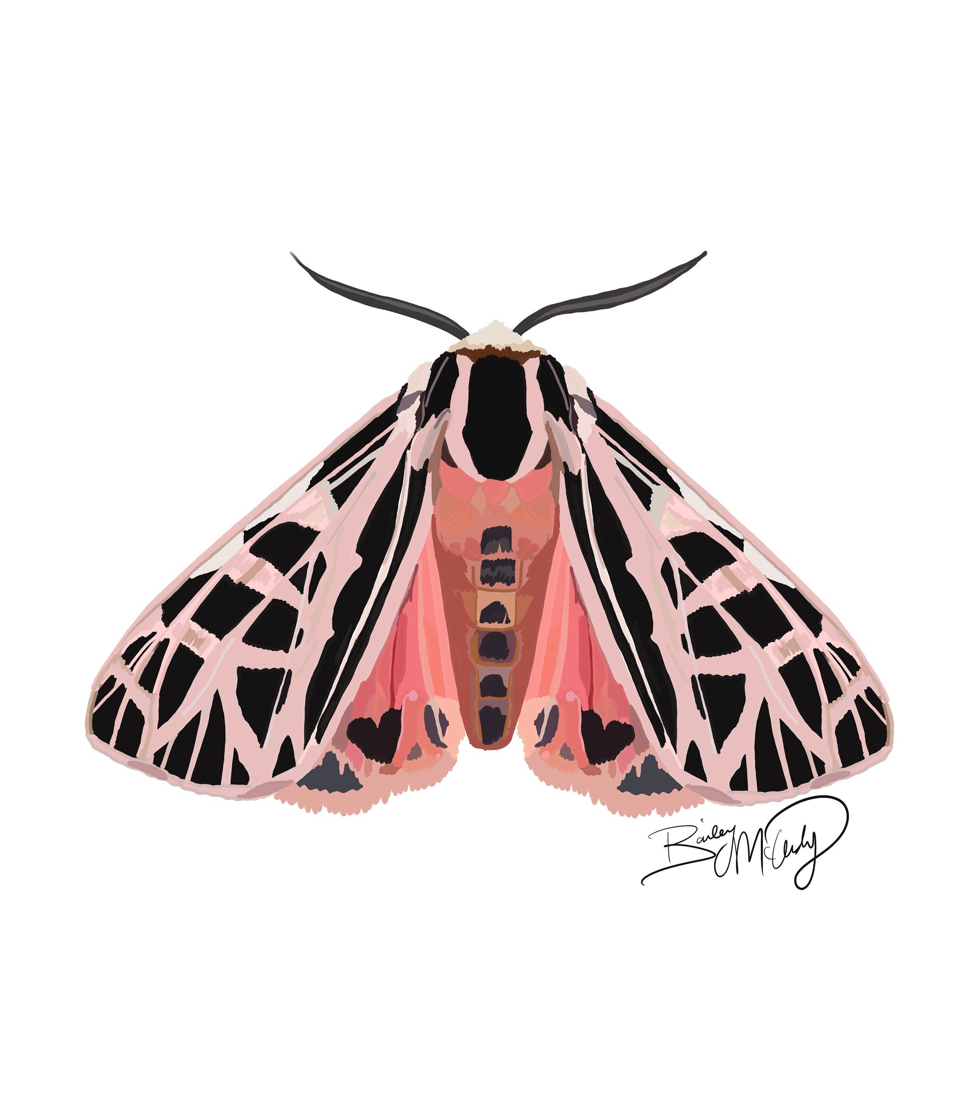 Miss Peach Parka Moth Art Print