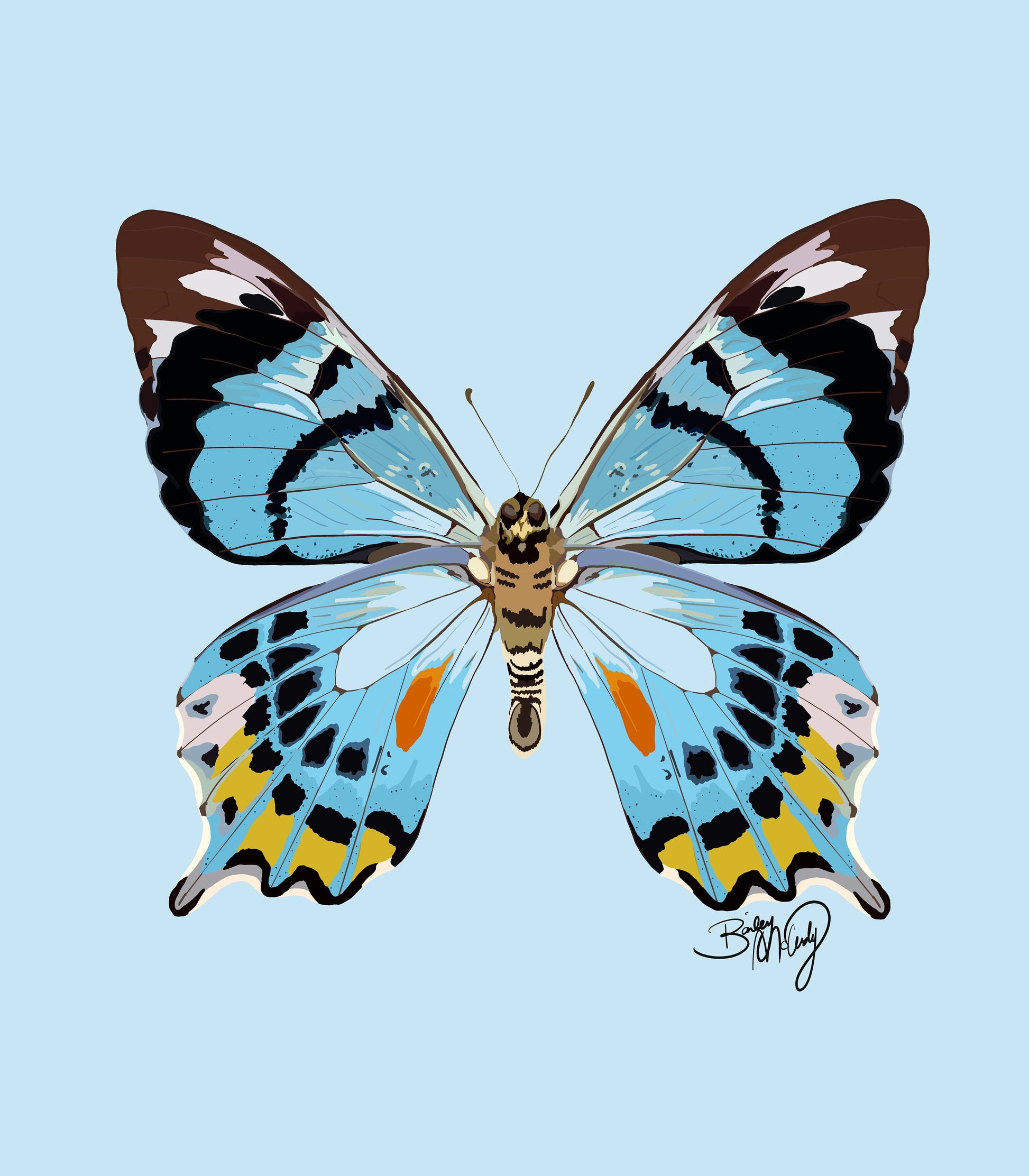Blue Butterfly Art Print