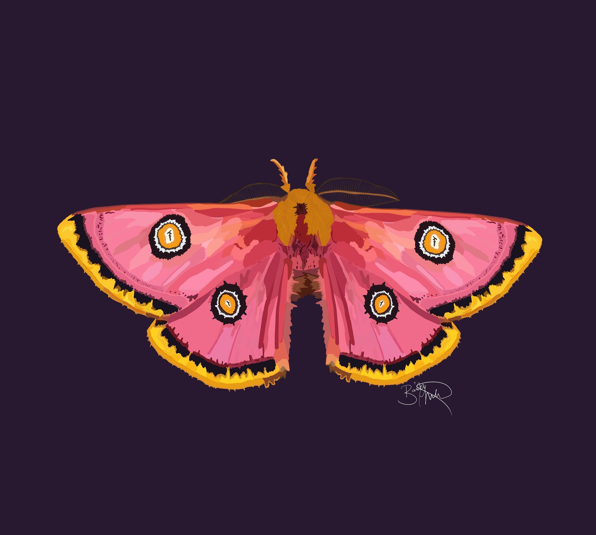 Moth Print Eggplant