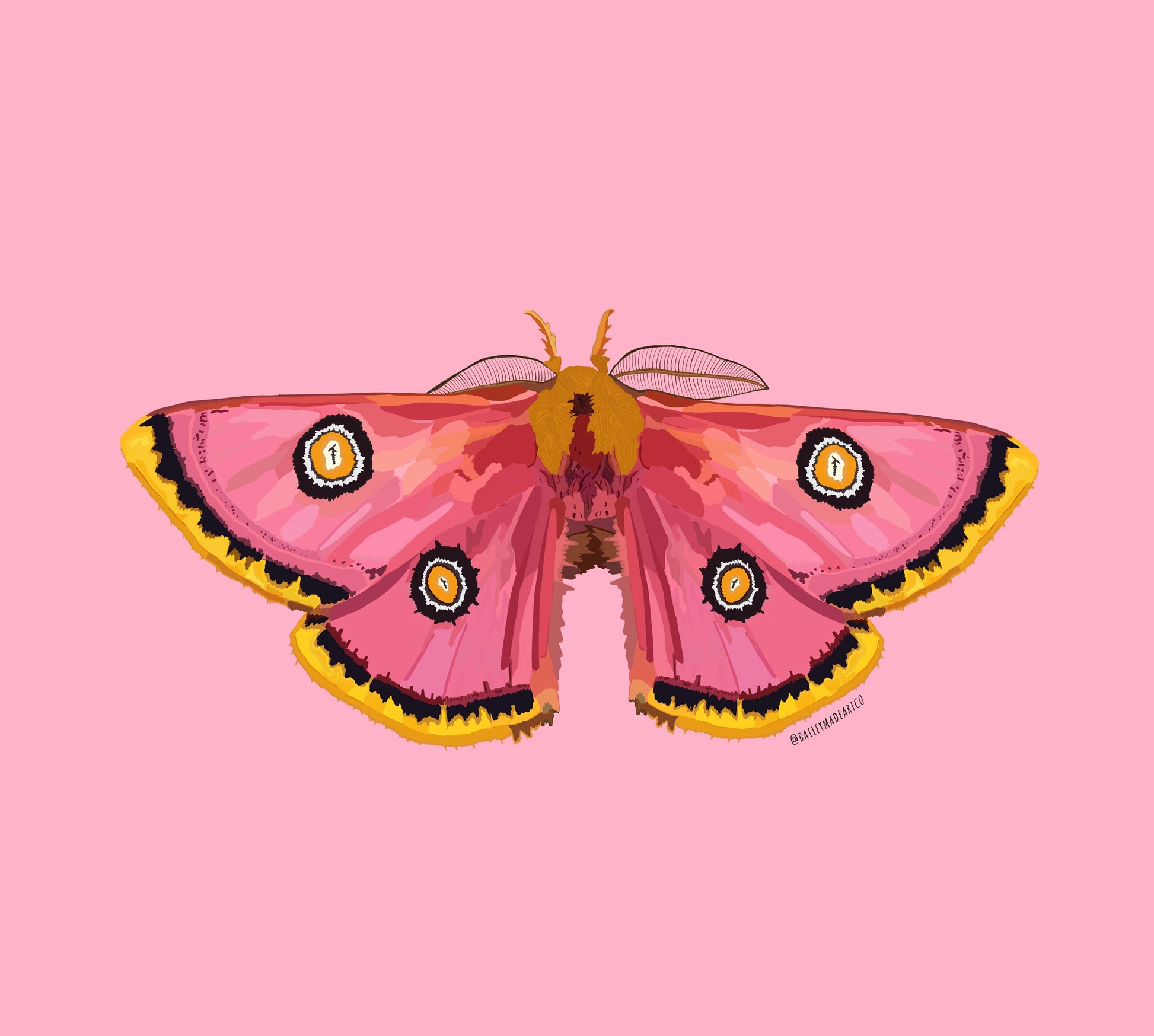 Moth Print on Pink Art Print
