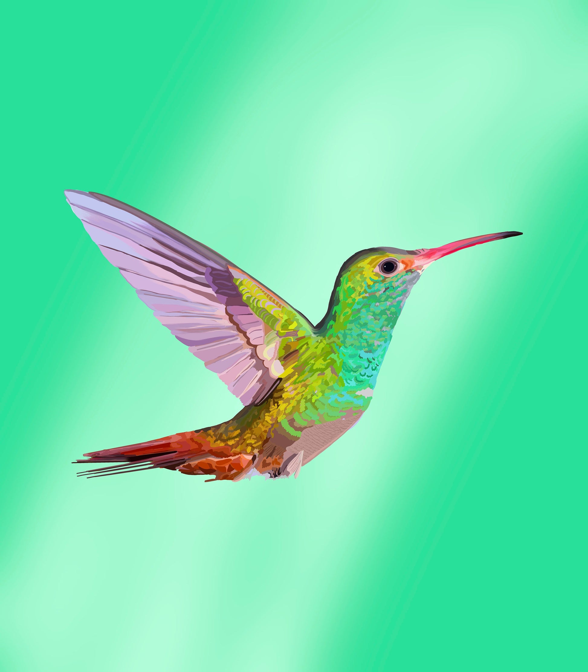 Hummingbird Art Print