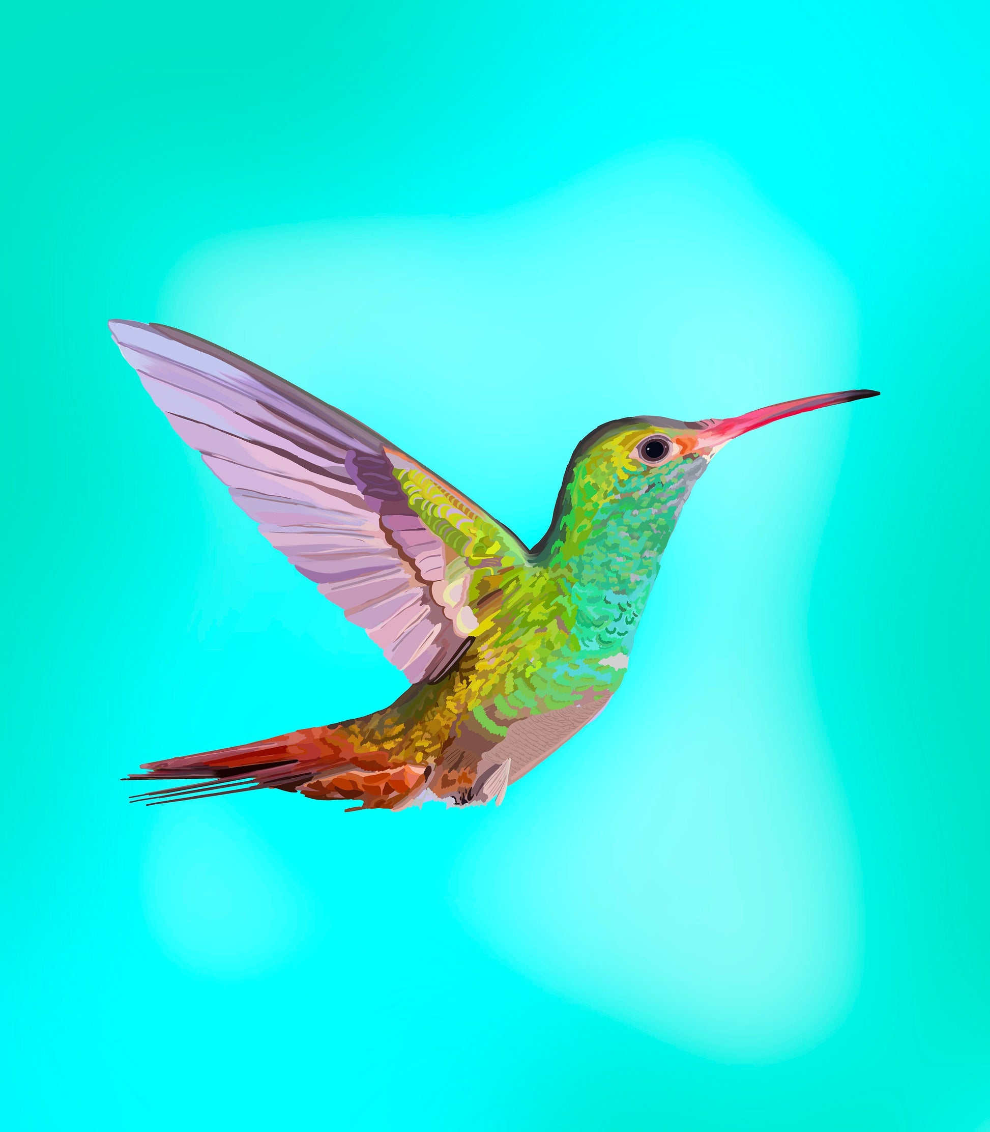 Hummingbird Art Print