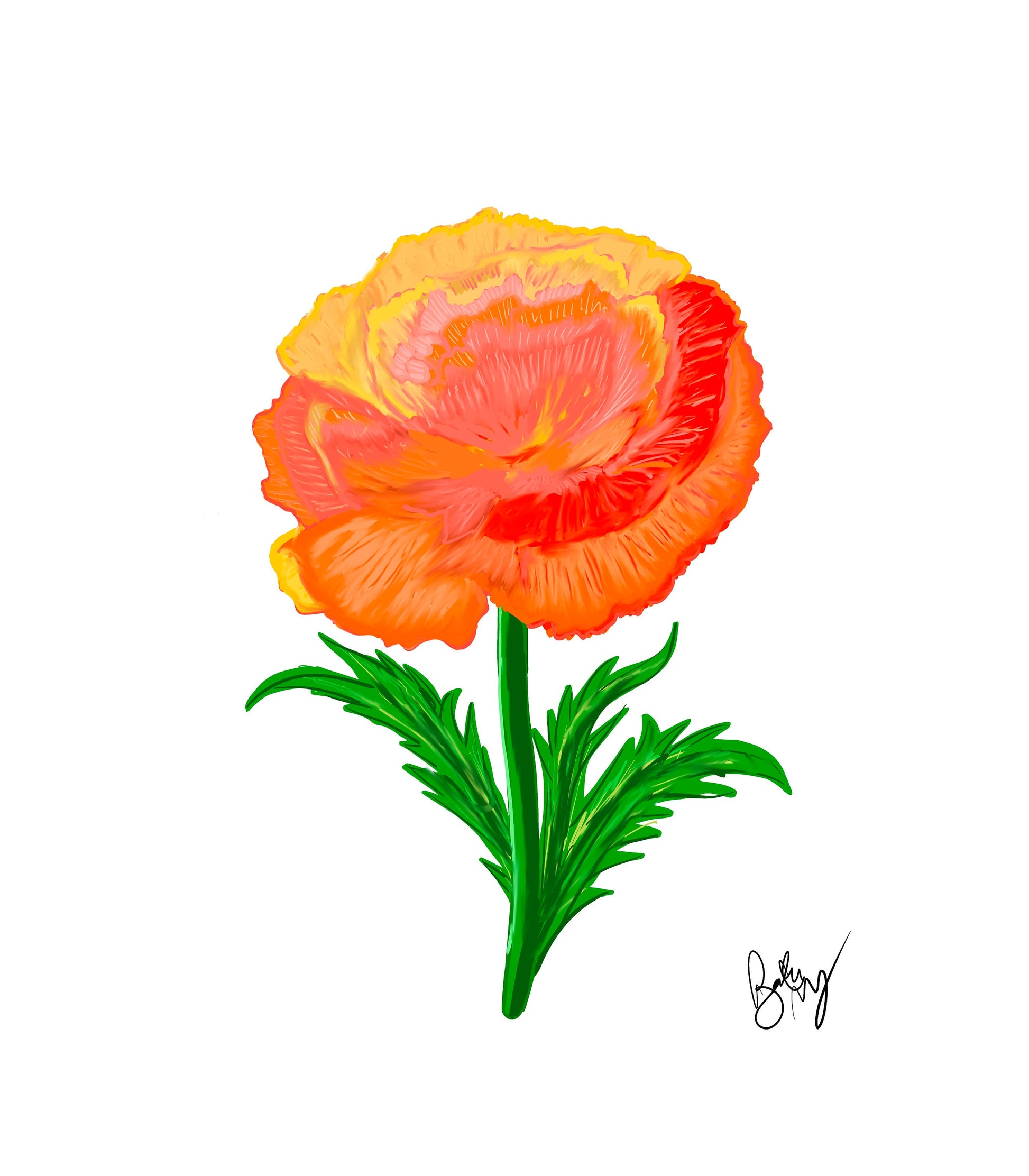 Carnation Flower Art Print