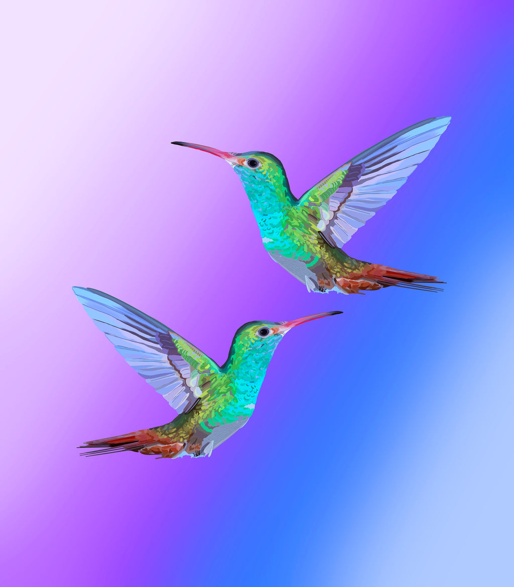 Hummingbird Duo Purple Art Print