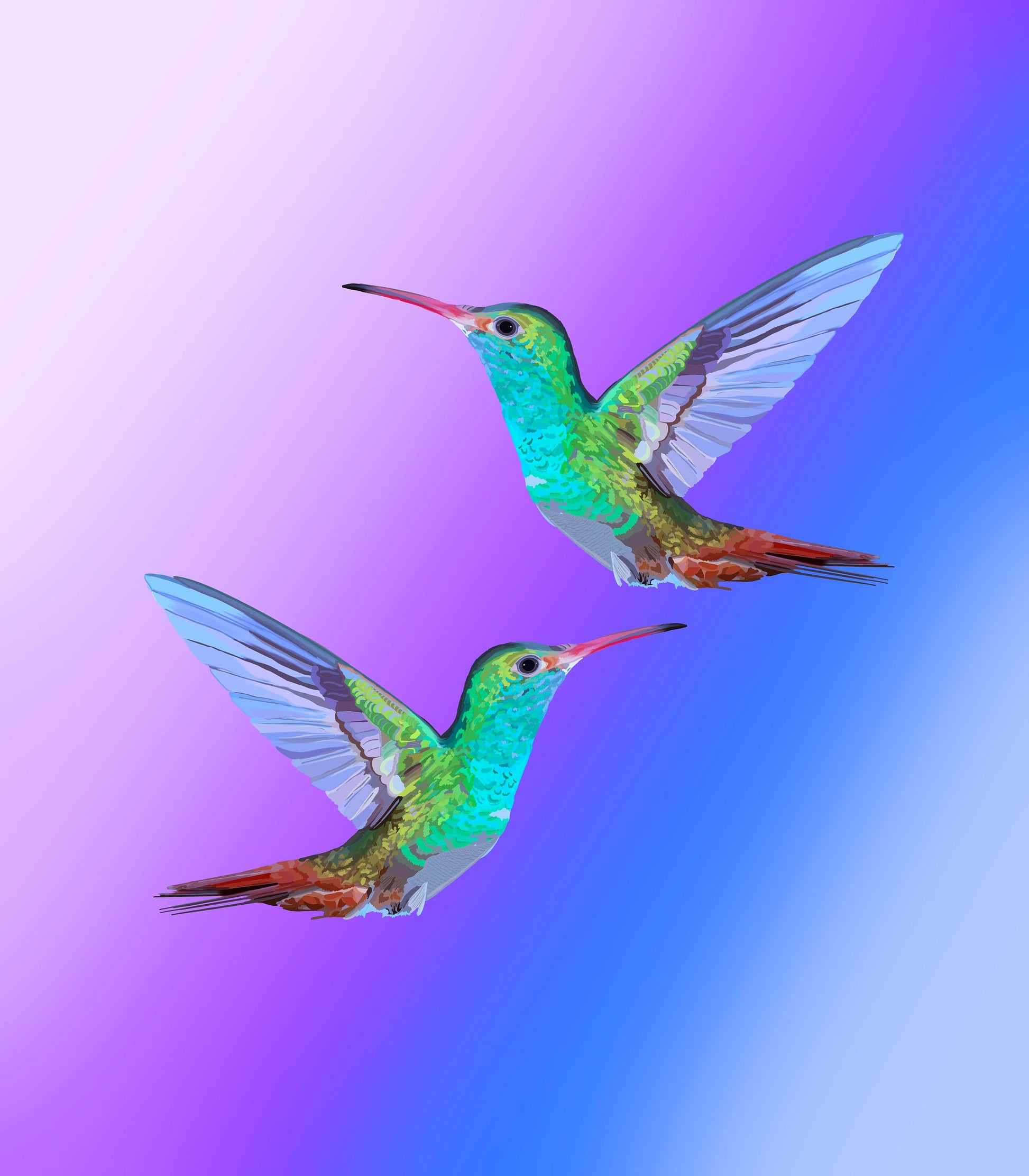 Hummingbird Duo Purple Art Print