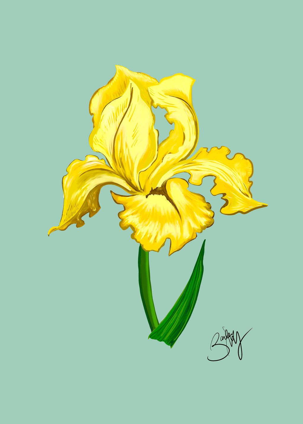 Iris Botanical Art Print- Yellow